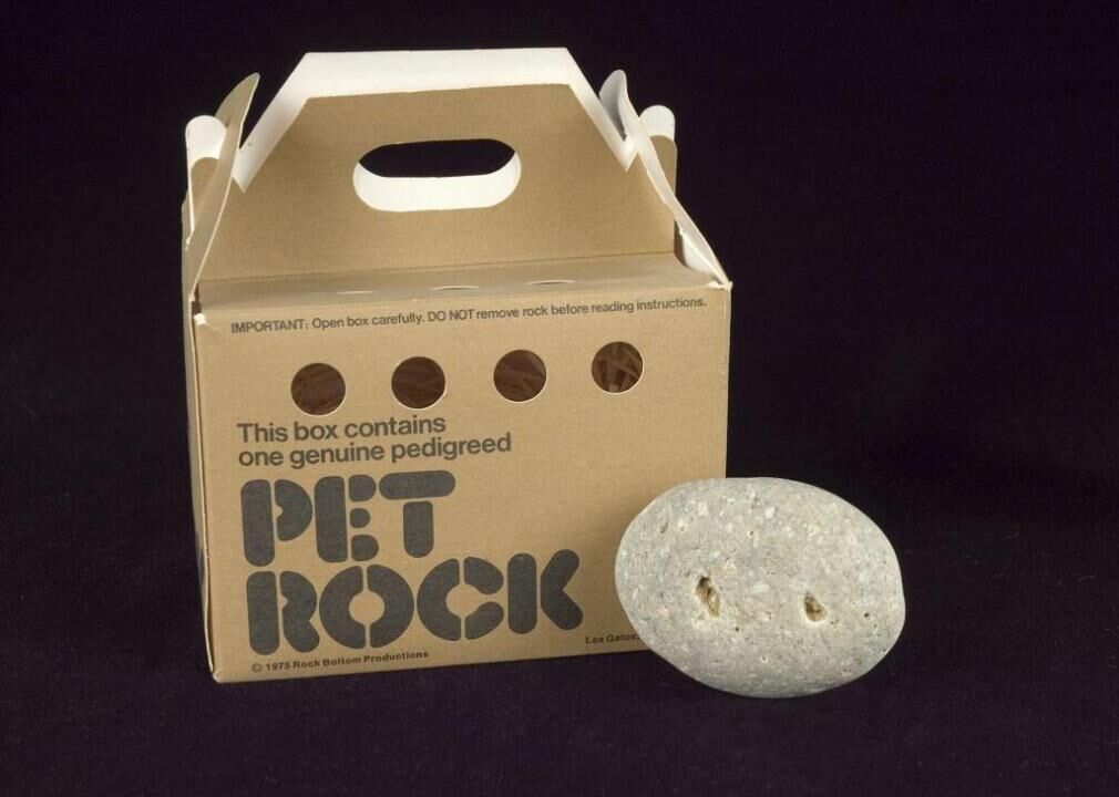 1975: The Pet Rock